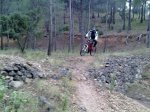 07032010891..jpg