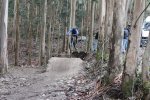 dobre coruxo..jpg