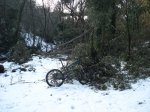 camins..jpg