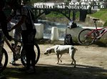 DSCN3776..JPG