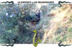 Serpiente..jpg