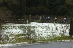 249-PIC92831790..jpg