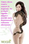 Snake..JPG
