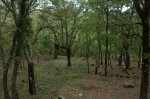 Image00023..jpg