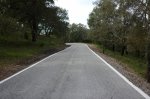 Image00034..jpg