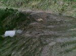 11032010256..jpg
