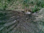 11032010257..jpg