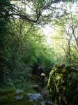 DSC03677.JPG