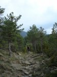 DSC03731.JPG