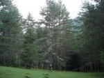 DSC03753.JPG