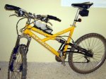 resized_BICICLET.jpg