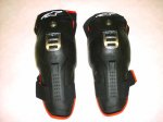 Alpinestars BIONIC.jpg