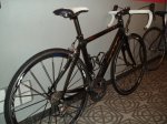 BH CARBON 003.jpg