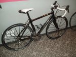 BH CARBON 006.jpg