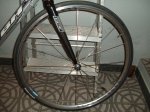 BH CARBON 005.jpg