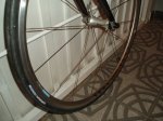 BH CARBON 013.jpg