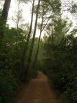 DSCN8314.jpg