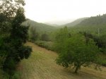 DSCN8315.jpg
