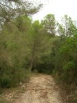 DSCN8317.jpg