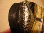 DSC04118.JPG