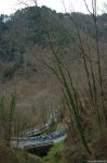 250-PIC93323627..jpg