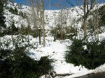 Nevada BCN - Coll&#115.jpg