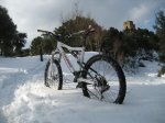 IMG_4596..jpg
