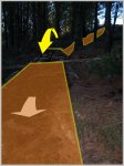 PEN_SALTO2..jpg