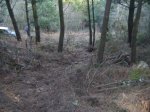 DSCF1257..jpg