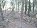 DSCF1255..jpg