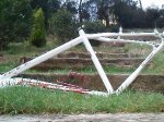 P27-02-10_09.10..JPG