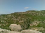 11032010(007)..jpg