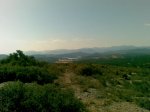 11032010(009)..jpg