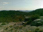 11032010(008)..jpg