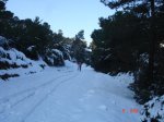 DSC05471..jpg