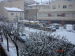 DSC05440..jpg