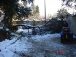 DSC05451..jpg