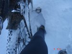 DSC05501..jpg