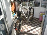 DSC02343..jpg