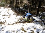 DSC09874..jpg