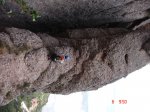 DSC04923..jpg