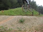 IMG_1967..jpg