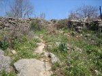 Imagen 075..jpg