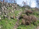 Imagen 074..jpg