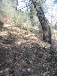 Imagen 092..jpg