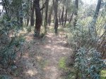 Imagen 087..jpg