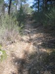 Imagen 086..jpg