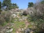 Imagen 083..jpg