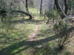 Imagen 089..jpg