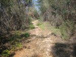 Imagen 088..jpg